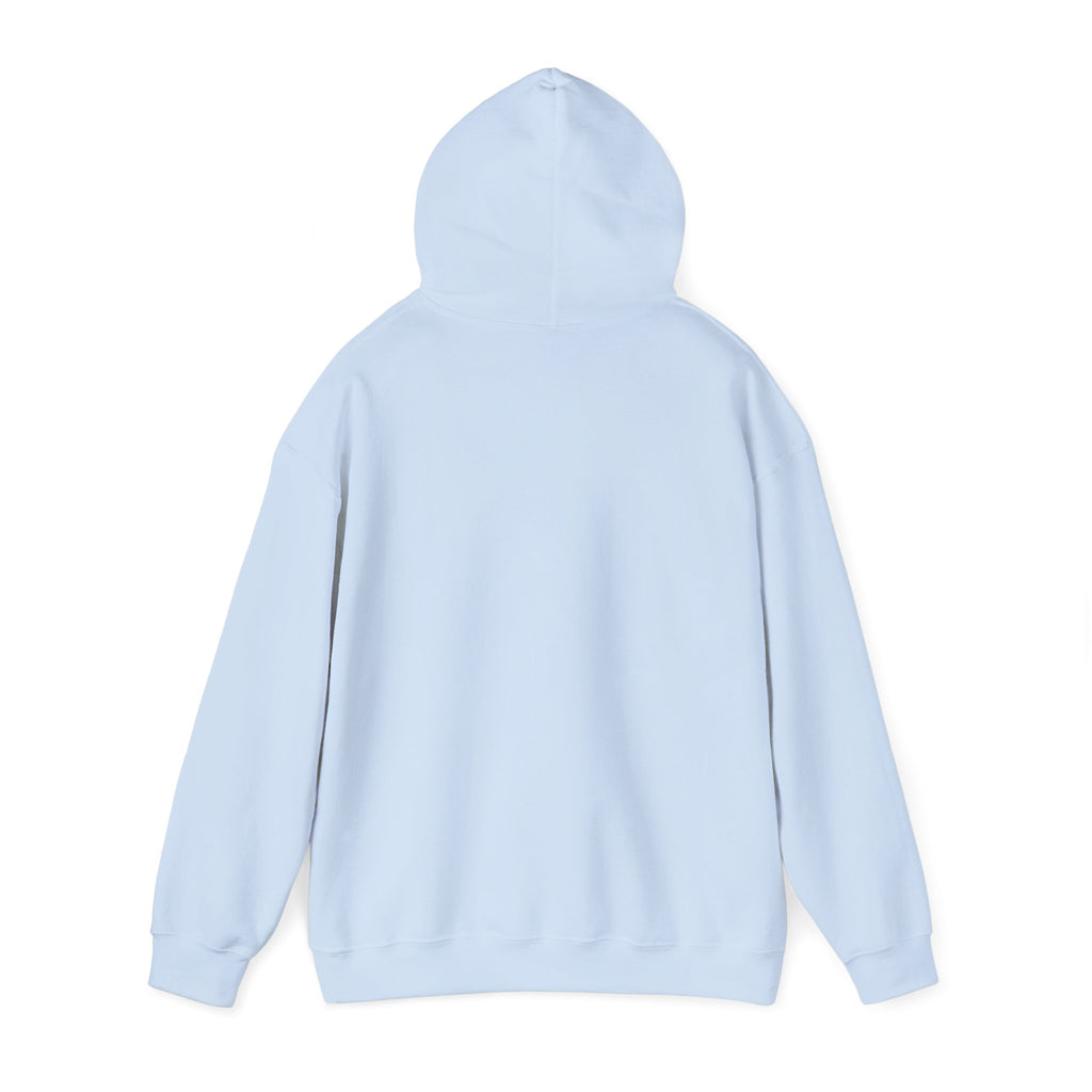 Faith Hoodie - “Be the light”