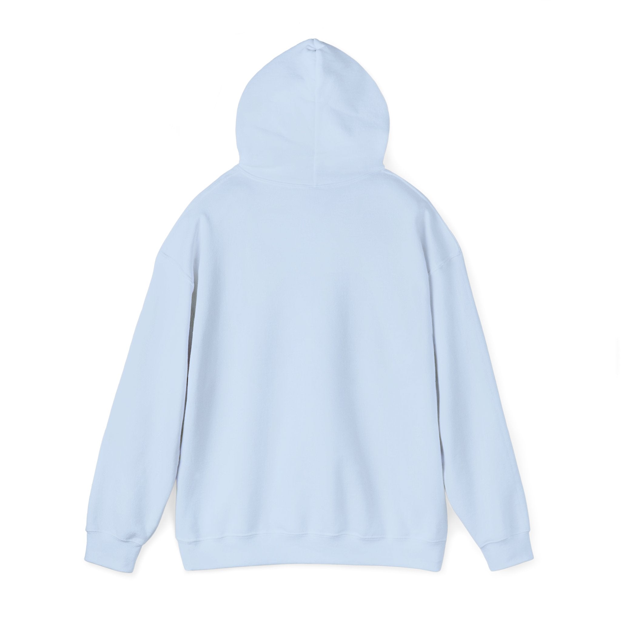 Faith Hoodie - “Be the light”