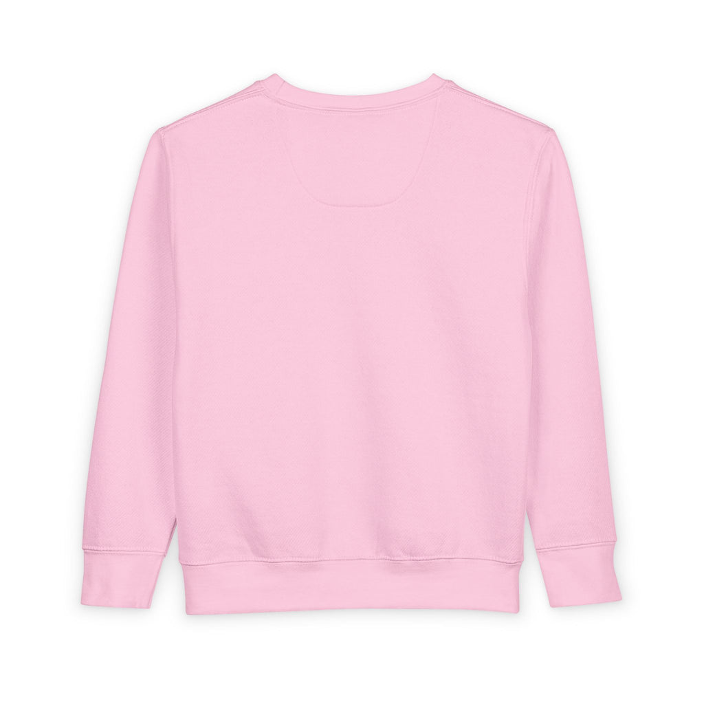 Toddler Sweatshirt - Be Still & Know