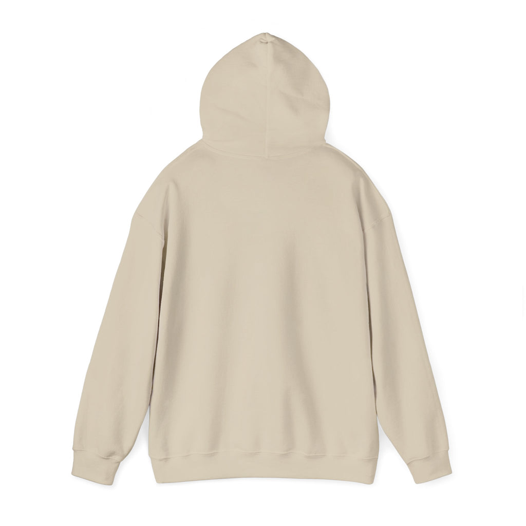Faith Hoodie - “Be the light”