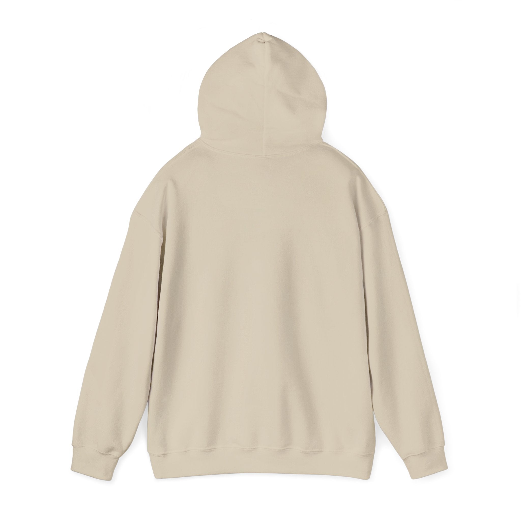Faith Hoodie - “Be the light”