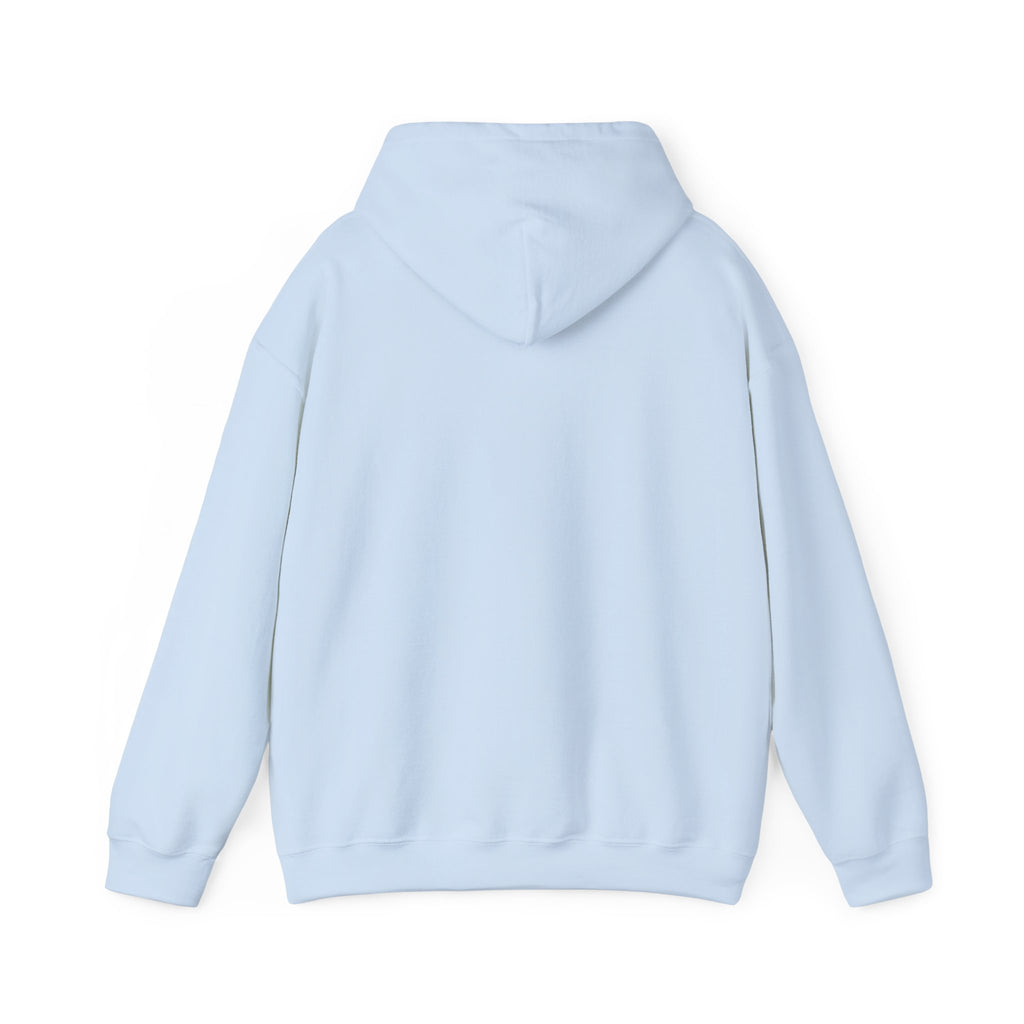 Faith Hoodie - “Be the light”