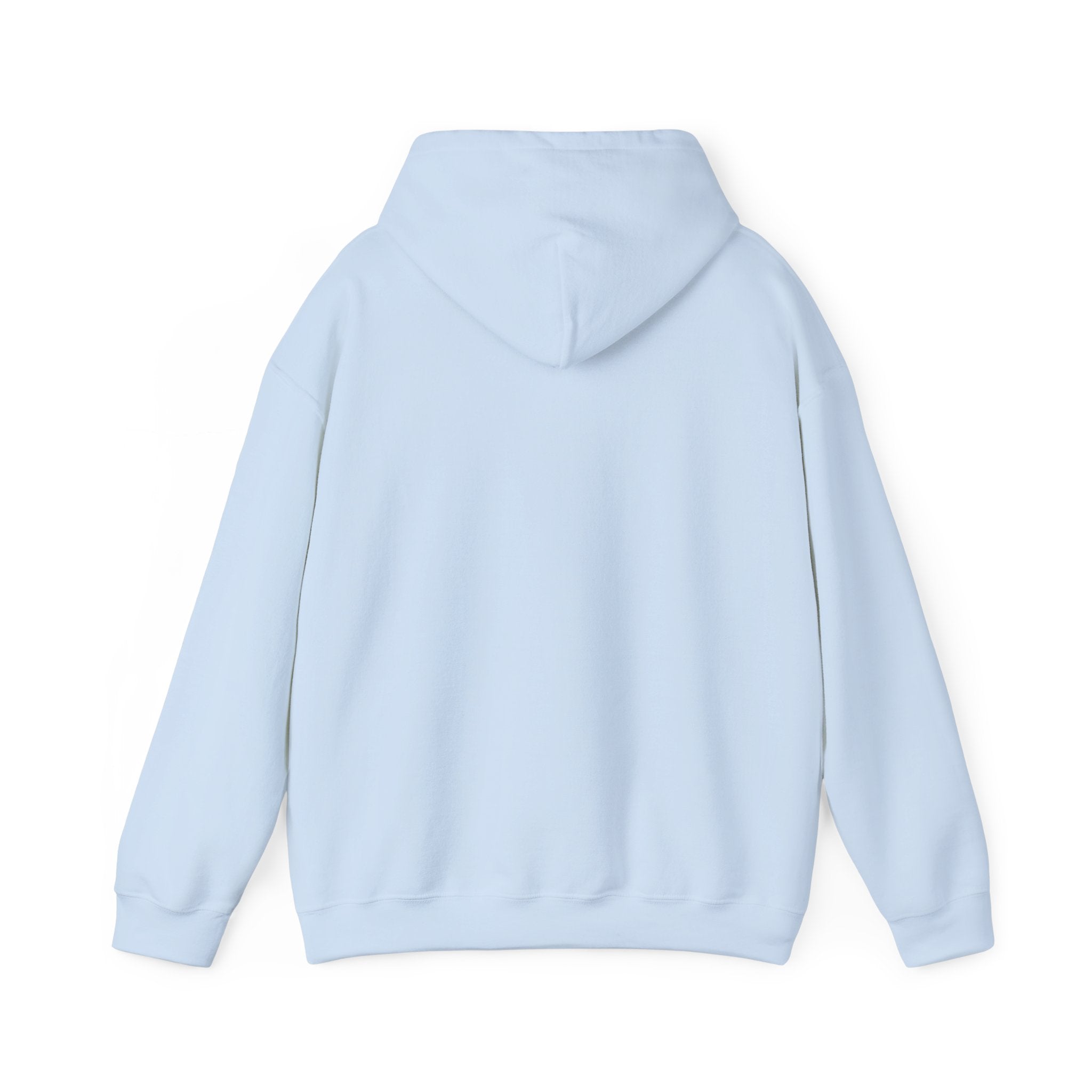 Faith Hoodie - “Be the light”