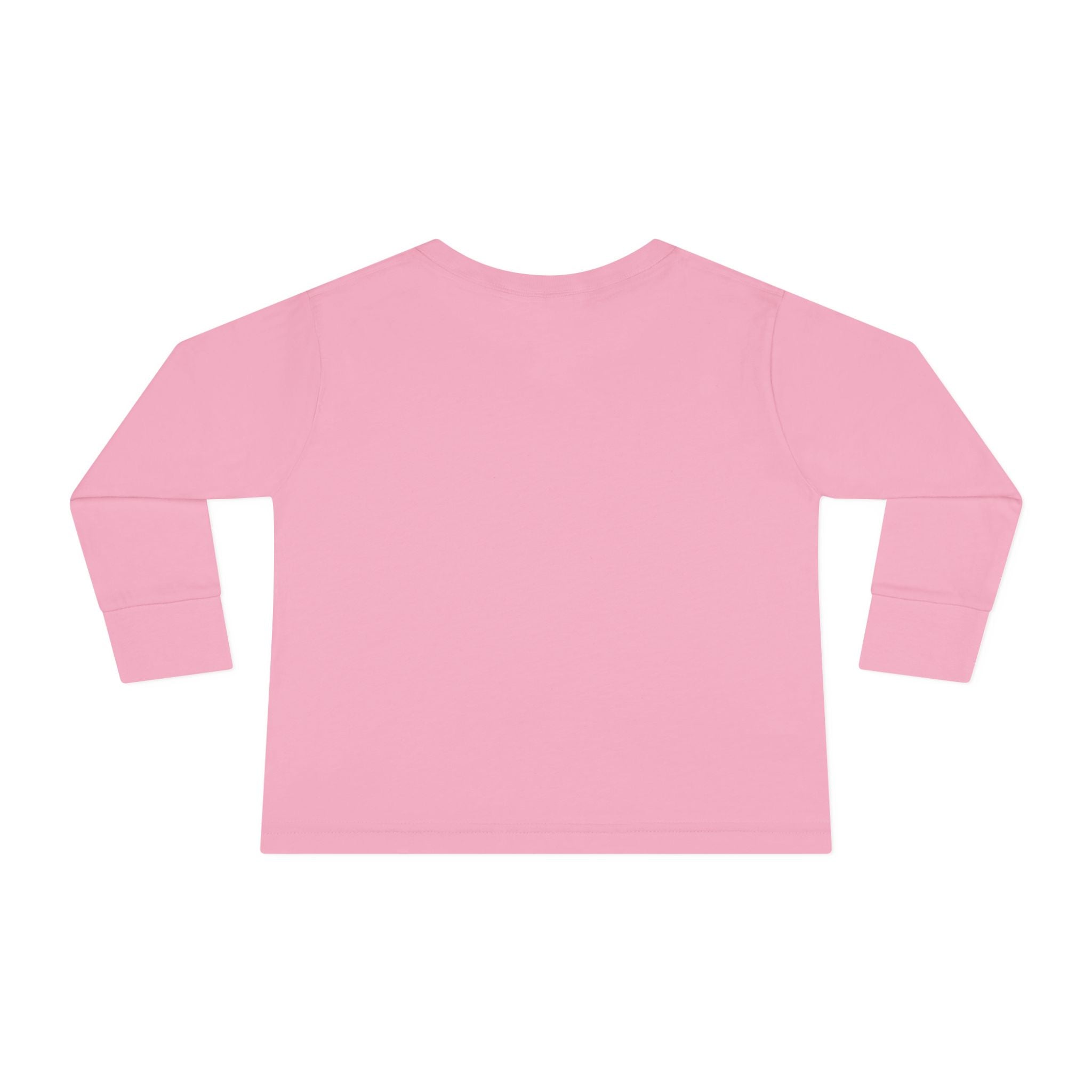 Toddler Long Sleeve Tee - I can do all things