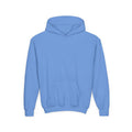 Youth Heavy Blend Hooded Sweatshirt - Take the Reins