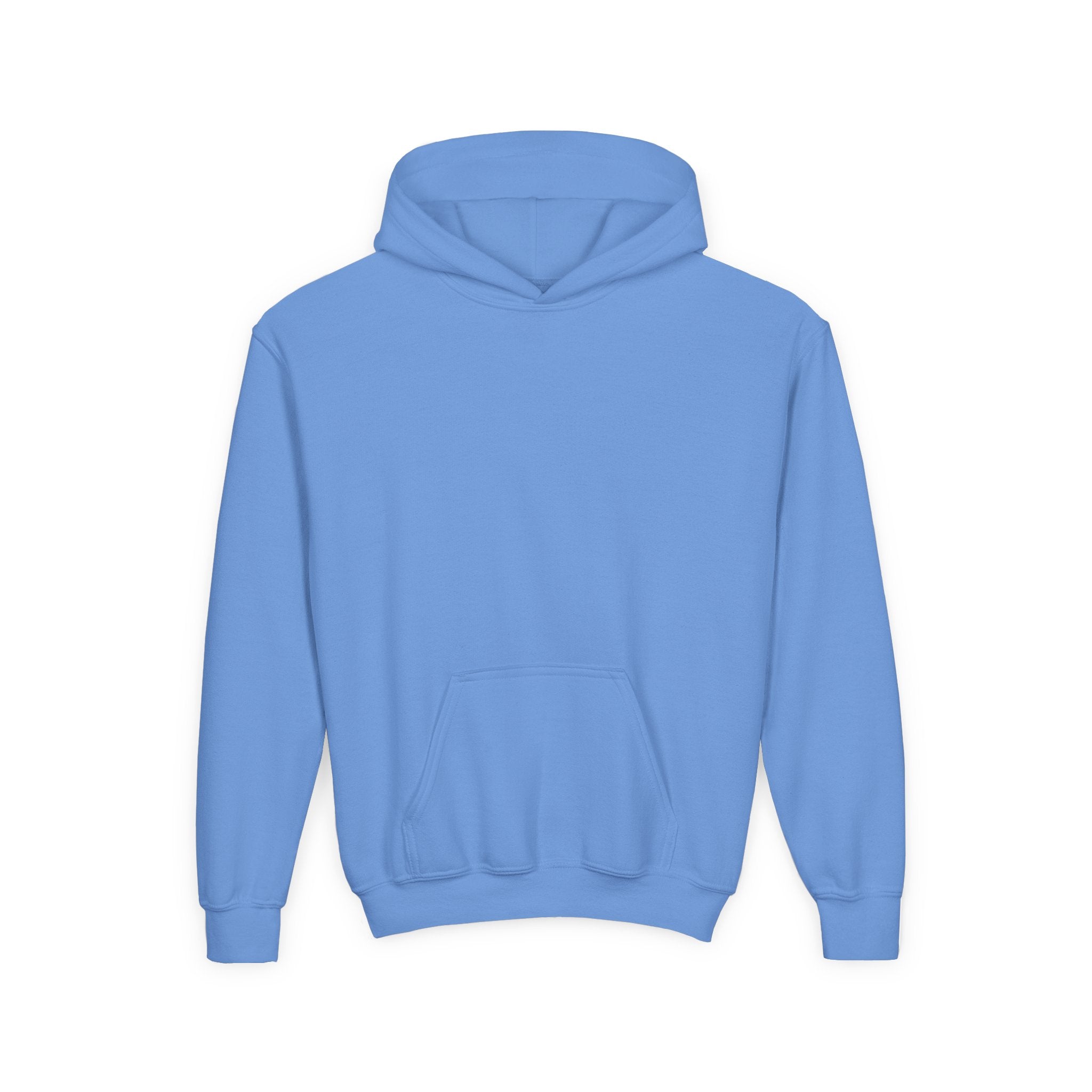 Youth Heavy Blend Hooded Sweatshirt - Take the Reins