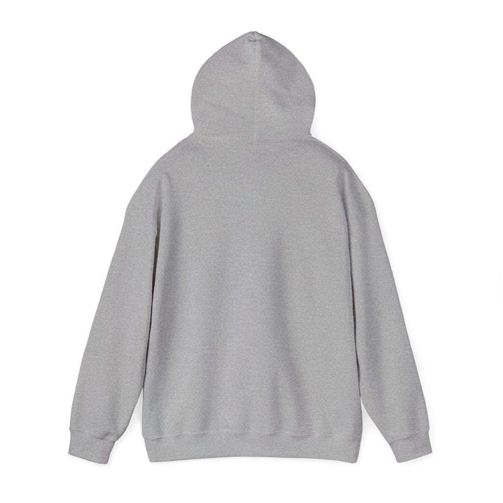 Faith Hoodie - “Be the light”