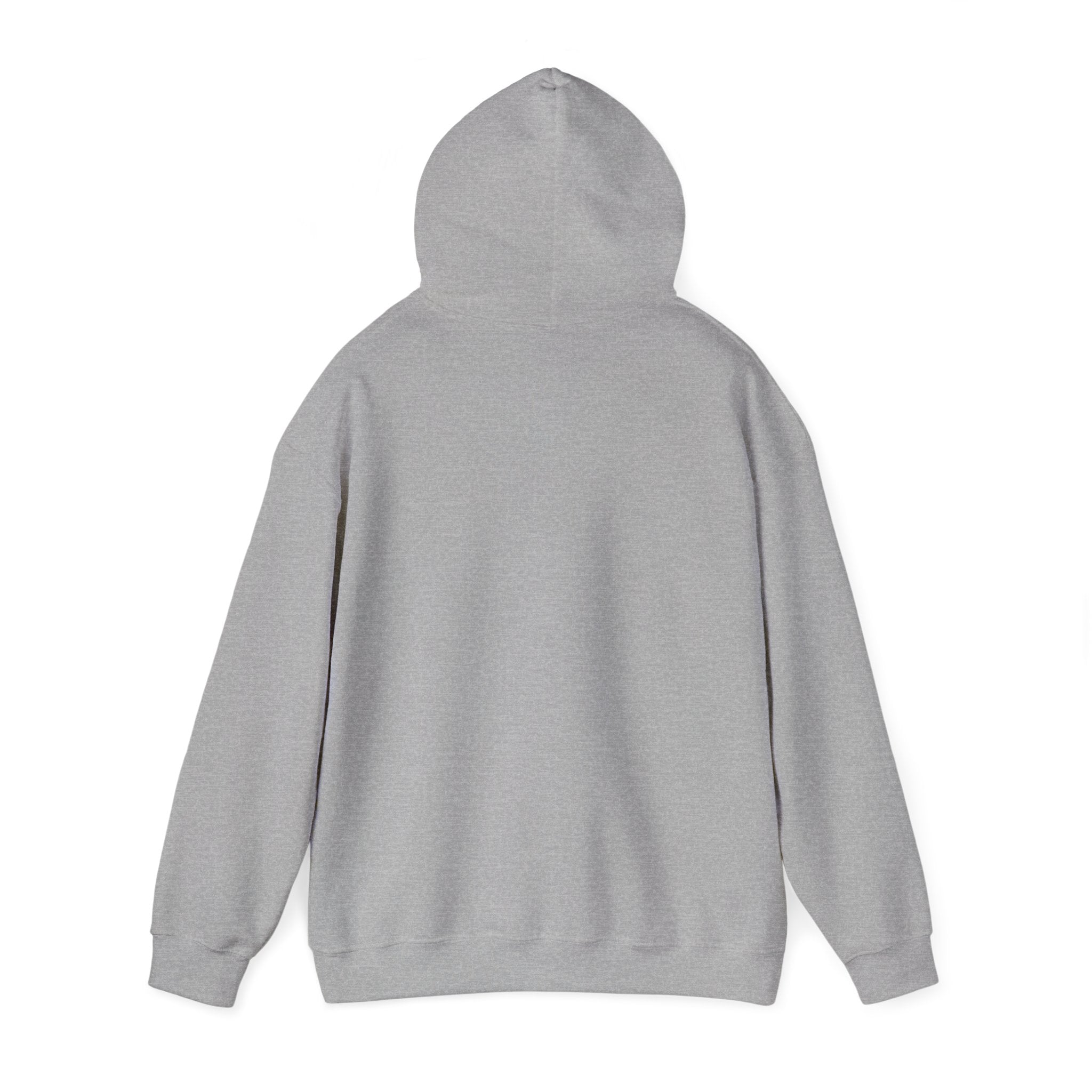 Faith Hoodie - “Be the light”