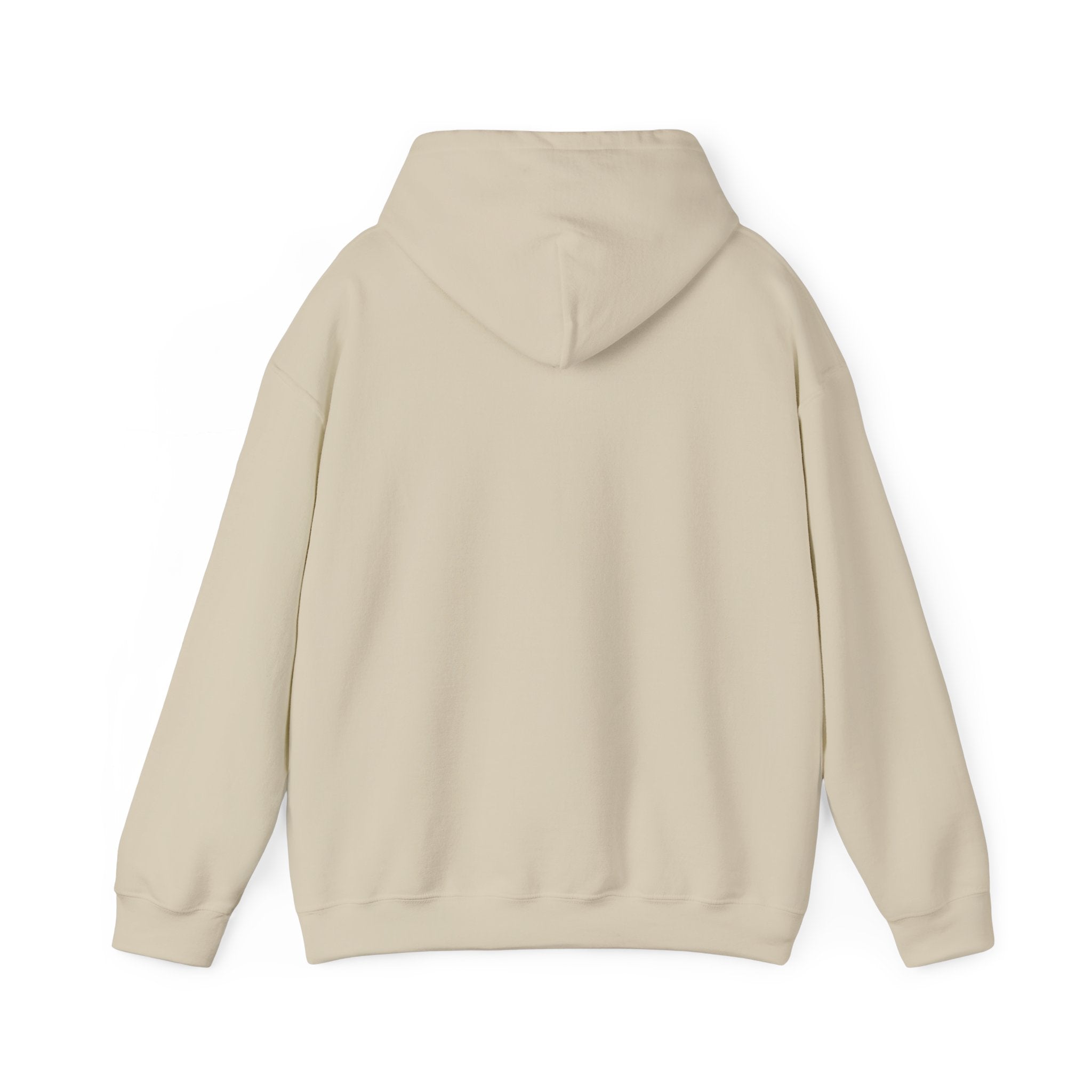 Faith Hoodie - “Be the light”