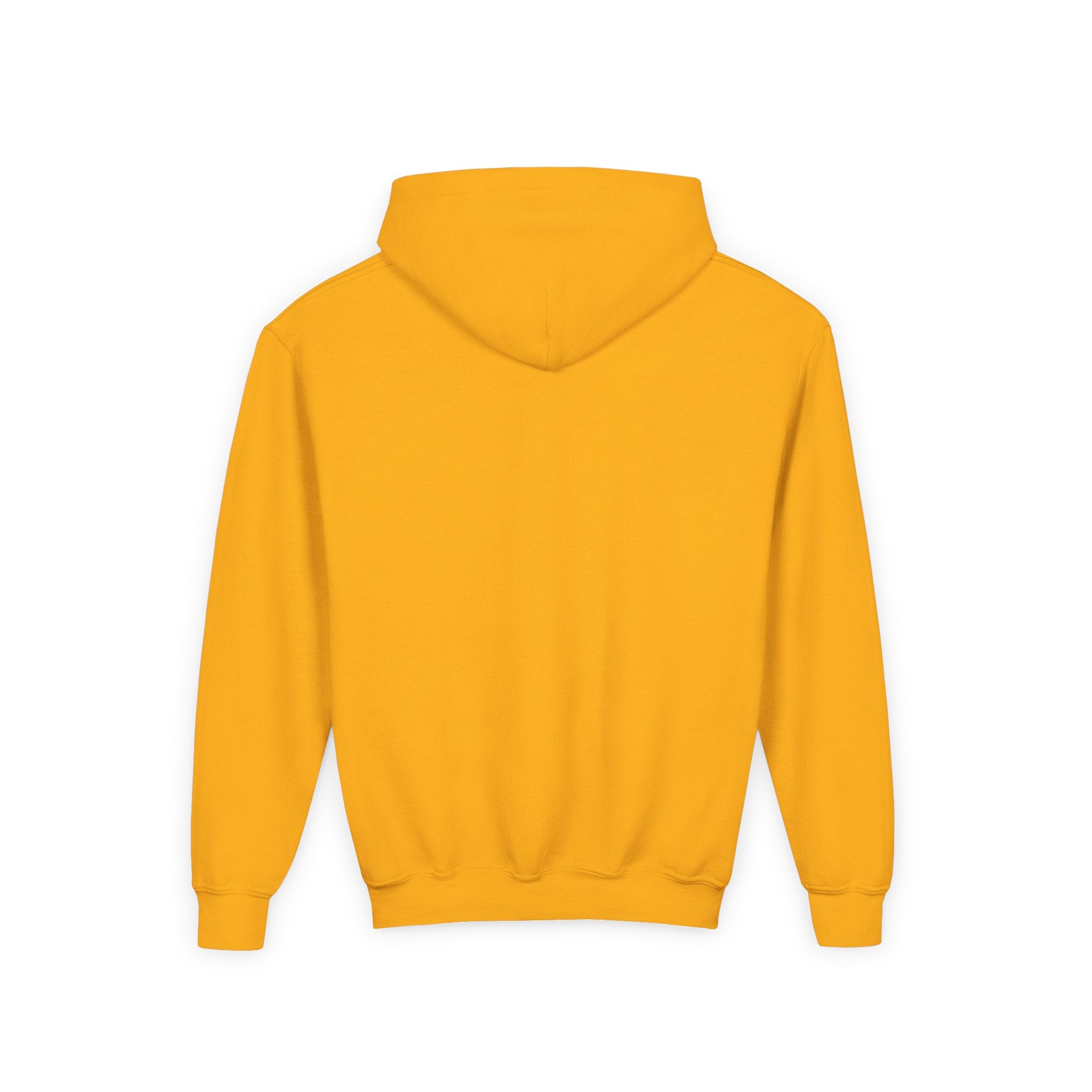 Youth Heavy Blend Hooded Sweatshirt - Fearfully & Wonderfully Made