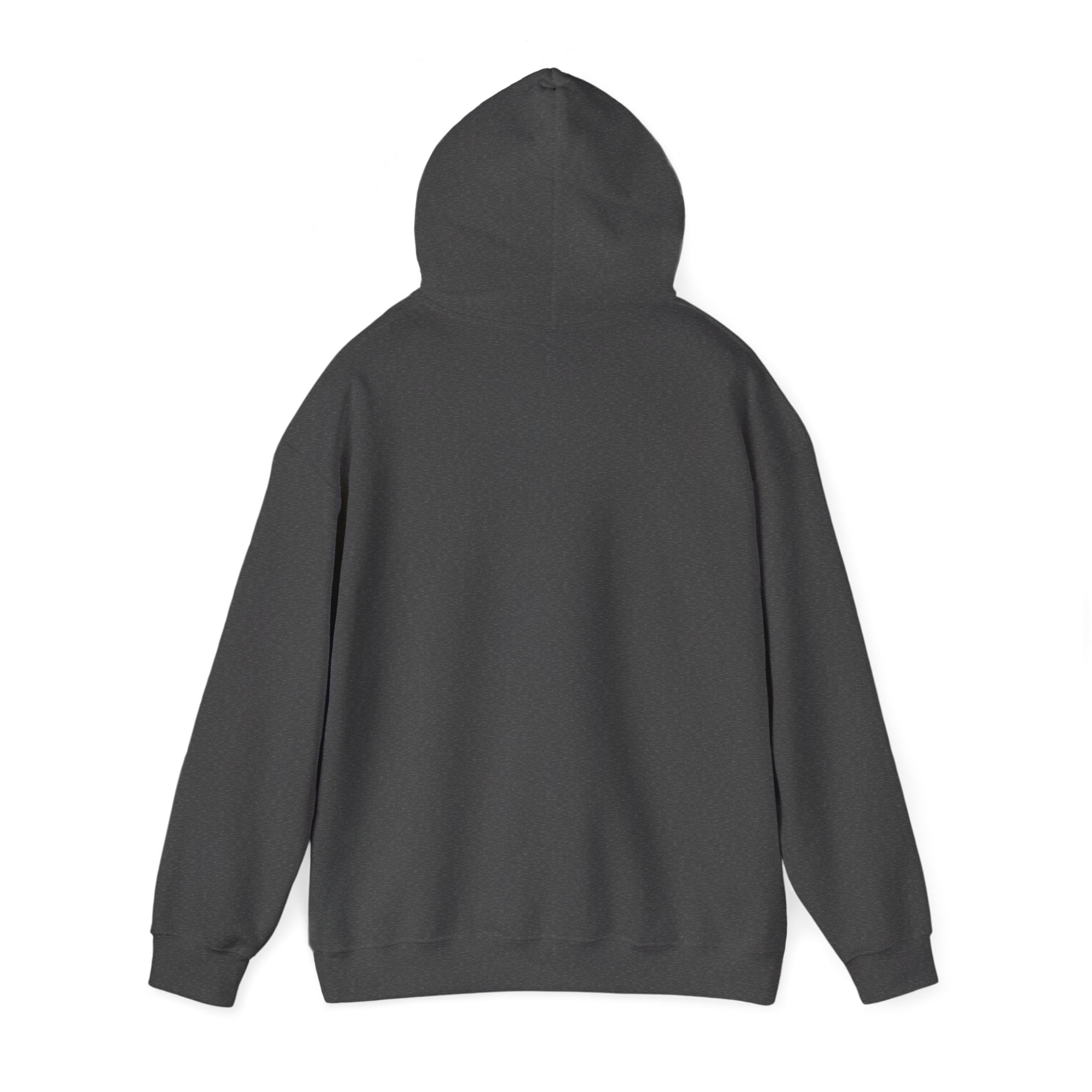 Faith Hoodie - "God Didn’t Bring You This Far to Leave You" Inspirational Christian Sweatshirt