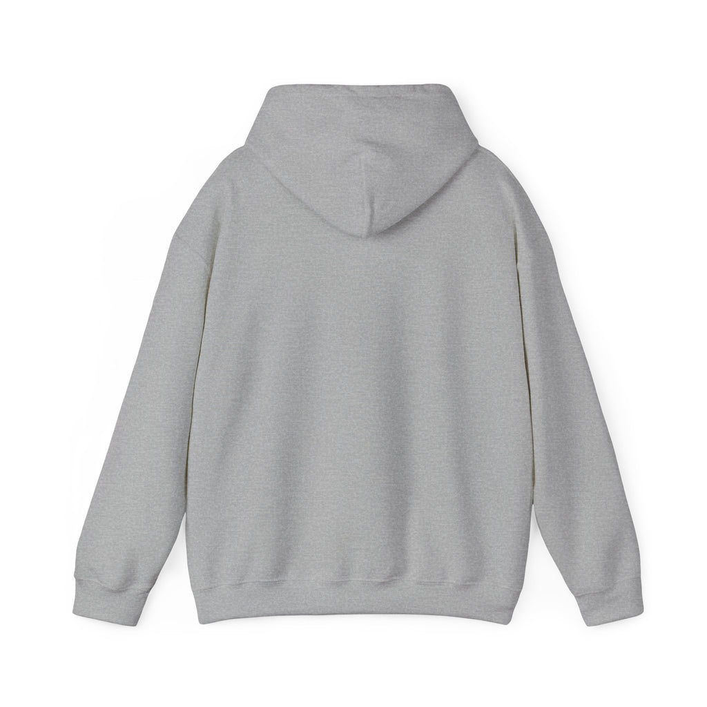 Faith Hoodie - “Be the light”